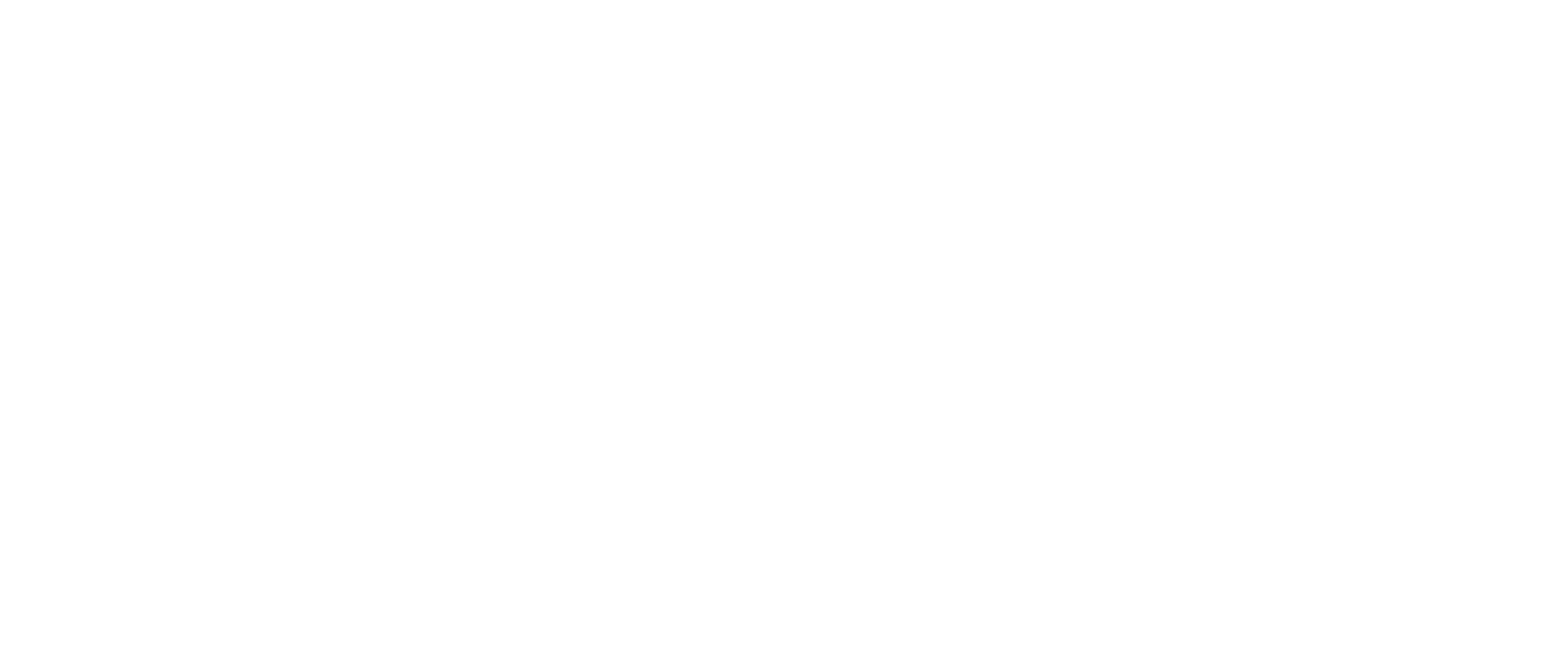 Livlocal Logo